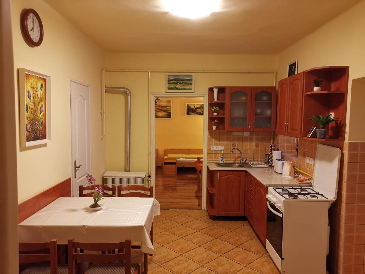 Viktor Vendeghaz Apartment Tokaj Bagian luar foto
