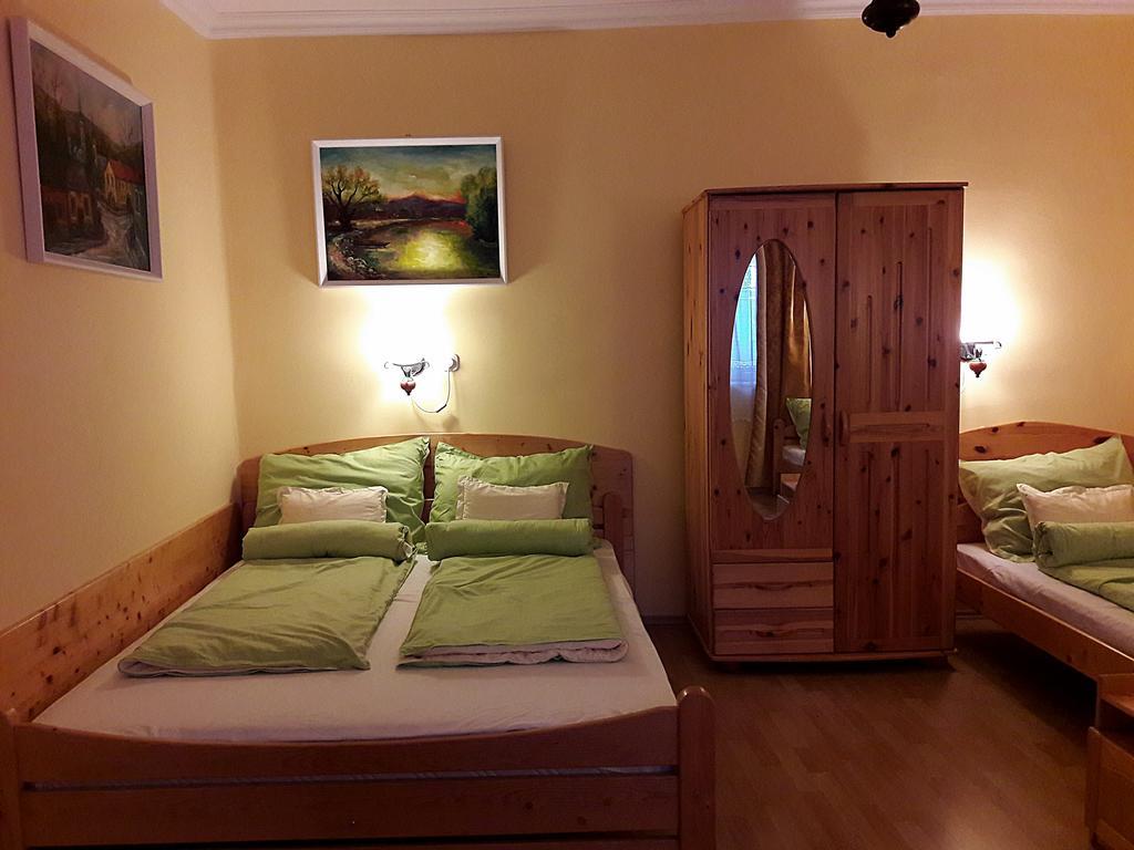 Viktor Vendeghaz Apartment Tokaj Bagian luar foto